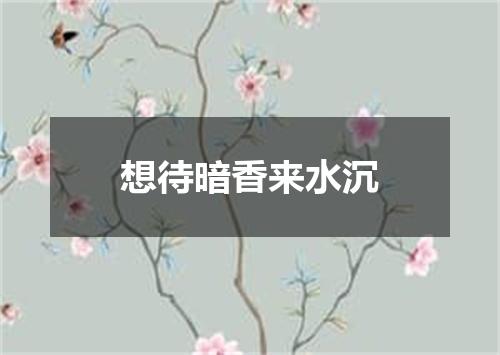 想待暗香来水沉
