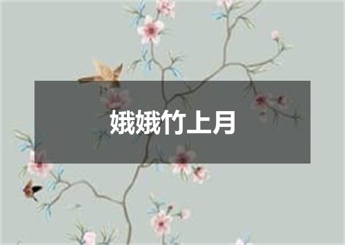 娥娥竹上月