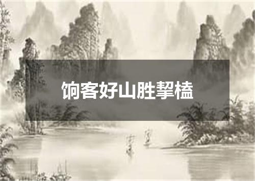 饷客好山胜挈榼