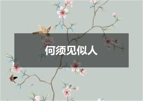 何须见似人