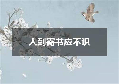 人到寄书应不识