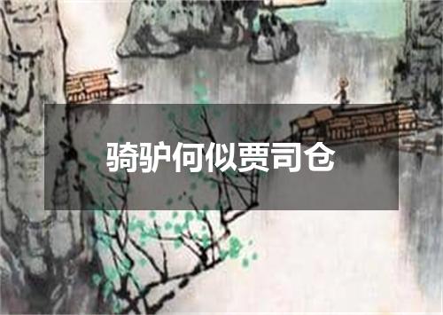 骑驴何似贾司仓