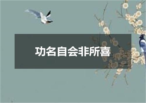 功名自会非所喜