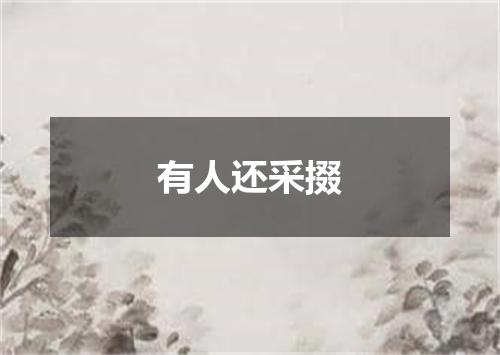 有人还采掇