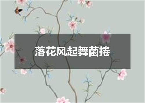 落花风起舞菌捲
