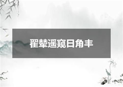 翟辇遥窥日角丰