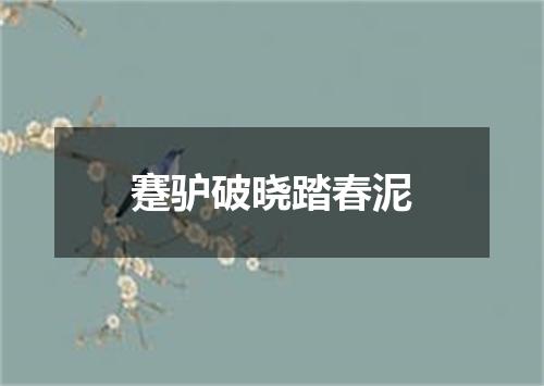 蹇驴破晓踏春泥