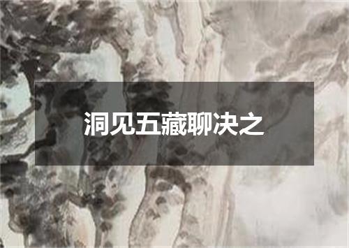 洞见五藏聊决之