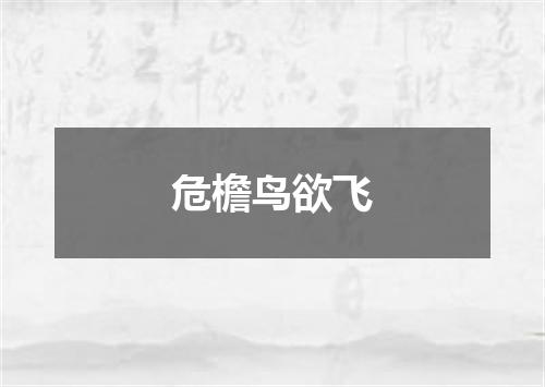 危檐鸟欲飞
