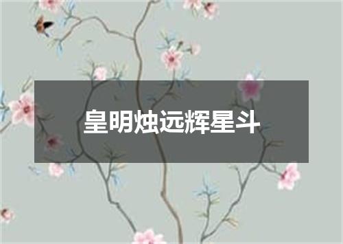 皇明烛远辉星斗