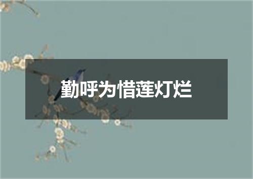 勤呼为惜莲灯烂