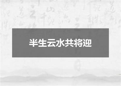 半生云水共将迎