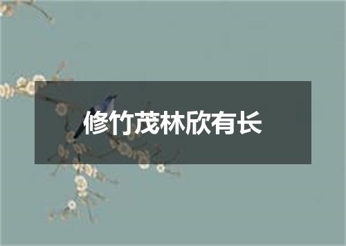 修竹茂林欣有长