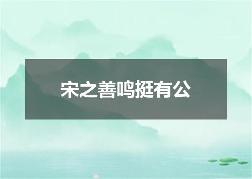宋之善鸣挺有公