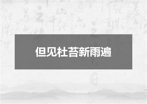 但见杜苔新雨遍