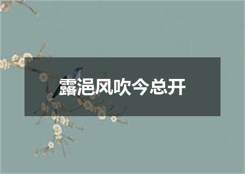 露浥风吹今总开