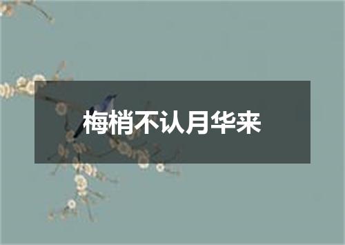 梅梢不认月华来