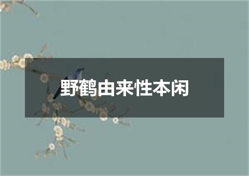 野鹤由来性本闲
