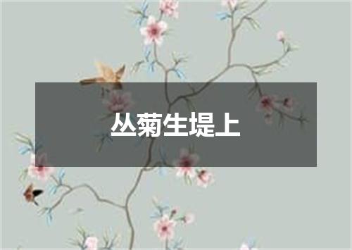 丛菊生堤上