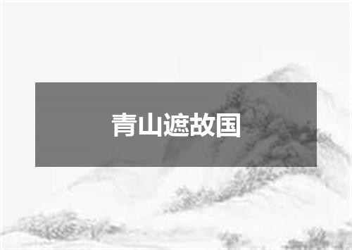 青山遮故国