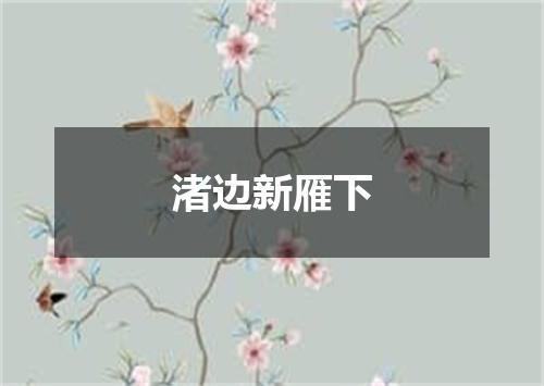 渚边新雁下