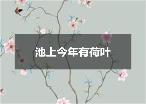 池上今年有荷叶