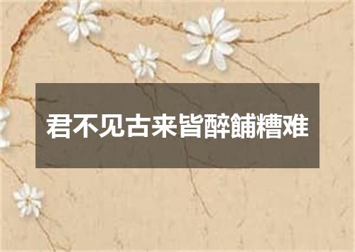 君不见古来皆醉餔糟难