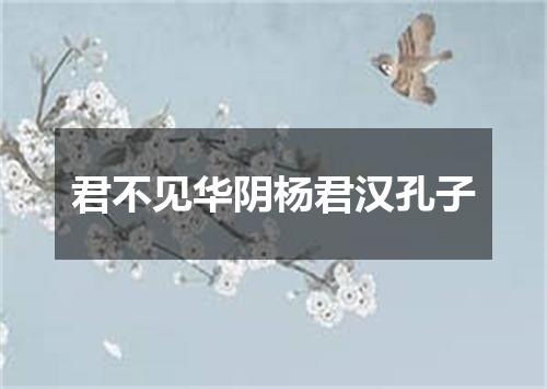 君不见华阴杨君汉孔子