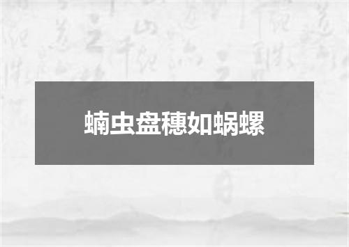 蝻虫盘穗如蜗螺