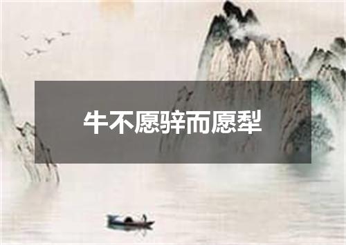 牛不愿骍而愿犁