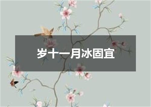 岁十一月冰固宜