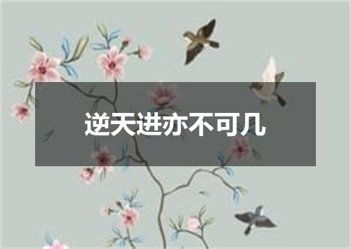 逆天进亦不可几