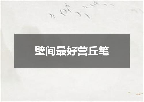 壁间最好营丘笔
