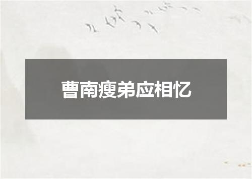 曹南瘦弟应相忆
