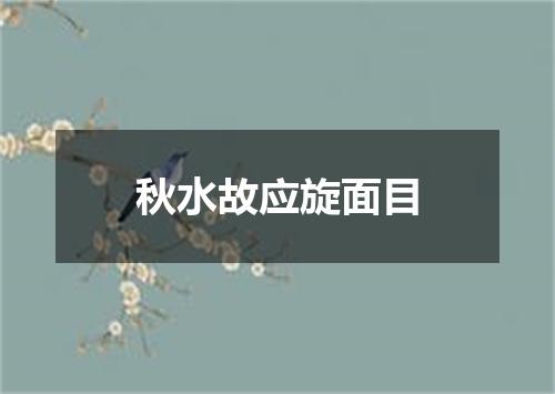 秋水故应旋面目