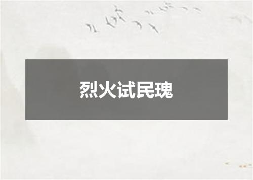 烈火试民瑰
