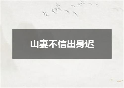 山妻不信出身迟