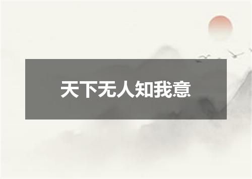 天下无人知我意