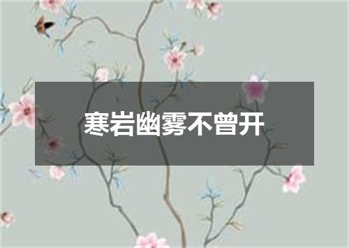 寒岩幽雾不曾开