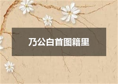 乃公白首图籍里