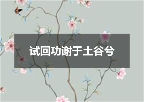 试回功谢于土谷兮