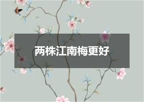 两株江南梅更好