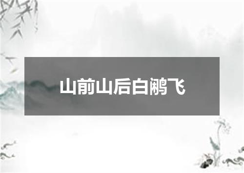 山前山后白鹇飞