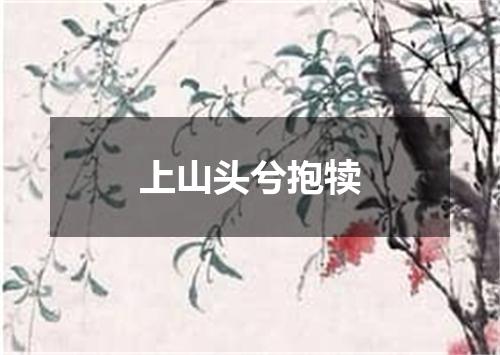 上山头兮抱犊