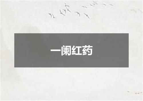 一阑红药