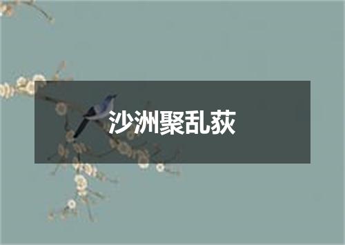 沙洲聚乱荻