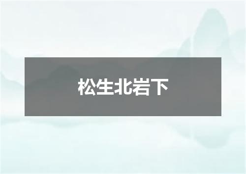 松生北岩下