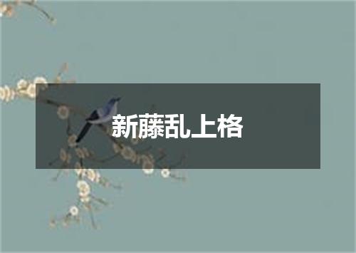 新藤乱上格