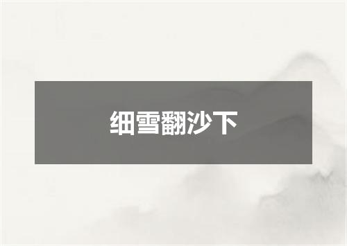 细雪翻沙下