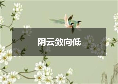 阴云敛向低